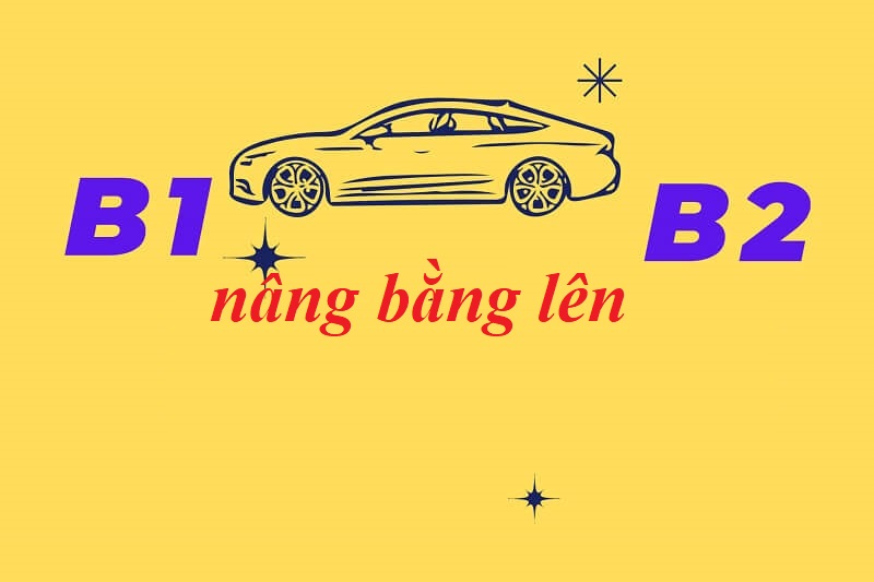 Những mẹo giúp bạn sở hữu bằng B1 vẫn lái được xe công ty