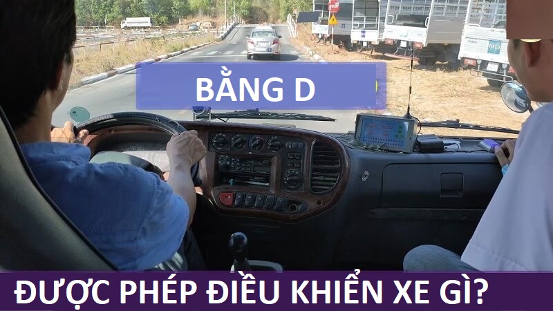 Bằng D được lái xe gì