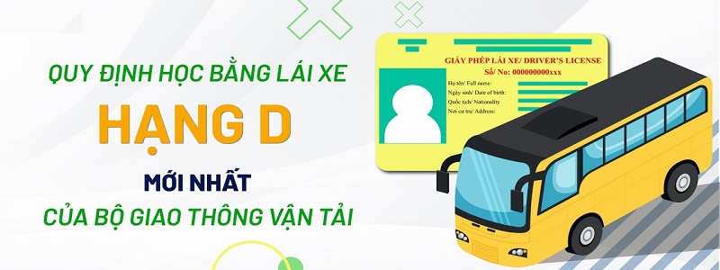 Bạn có biết bằng D lái xe gì
