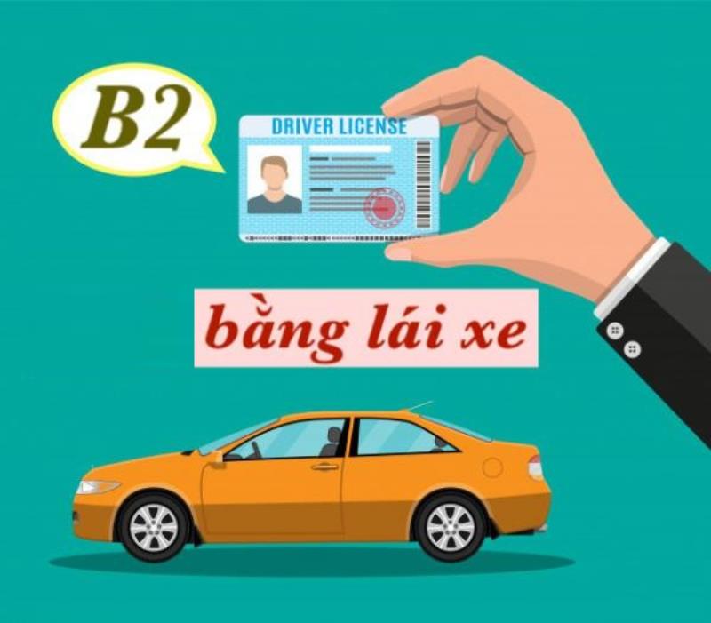Hầu hết những người lái xe ô tô con đều học bằng B2