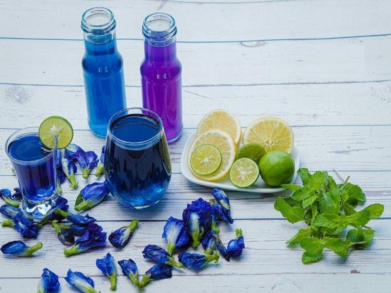 Bảo quản hoa đậu biếc ở nơi khô ráo và thoáng mát