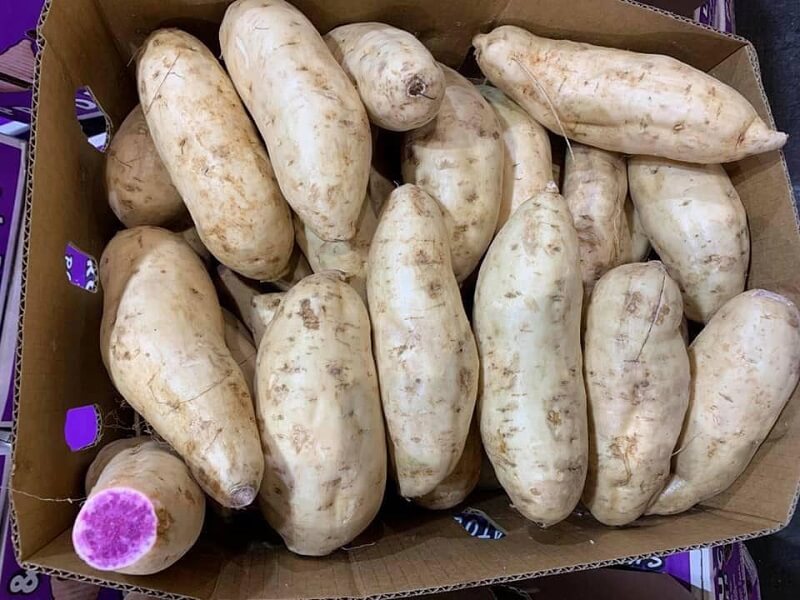 Bảo quản củ khoai lang đúng cách tránh mọc mầm