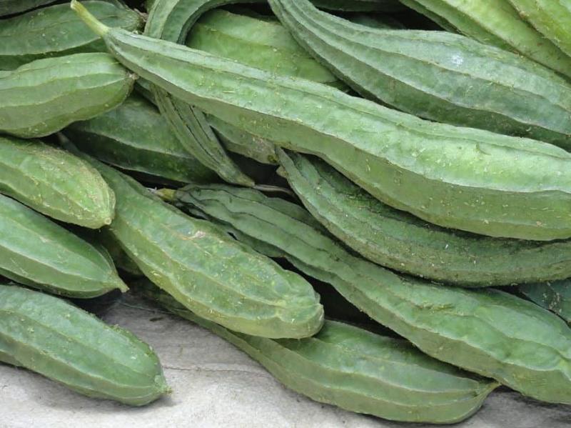 Bảo quản mướp khía đúng cách