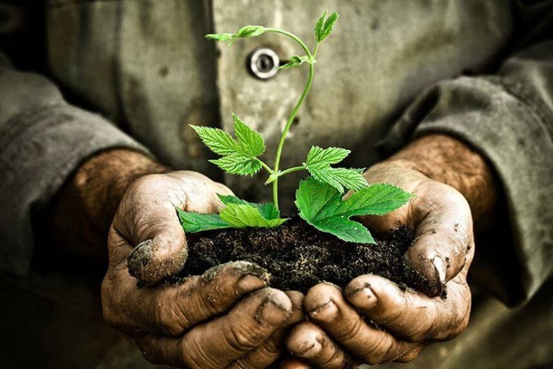 Các cấp độ BVMT