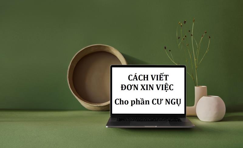 Học cách viết hiệu quả nội dung cư ngụ ở trong mẫu đơn xun vin việc