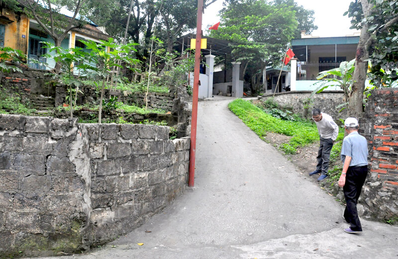 Cung cấp thông tin của các bên tham gia