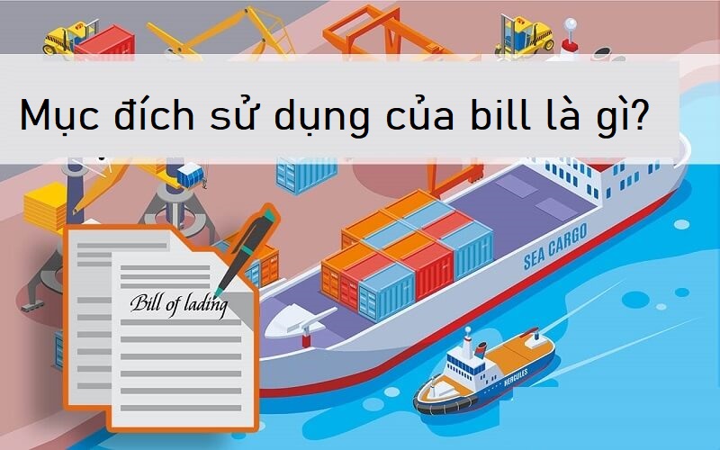 Mục đích sử dụng của Bill là gì