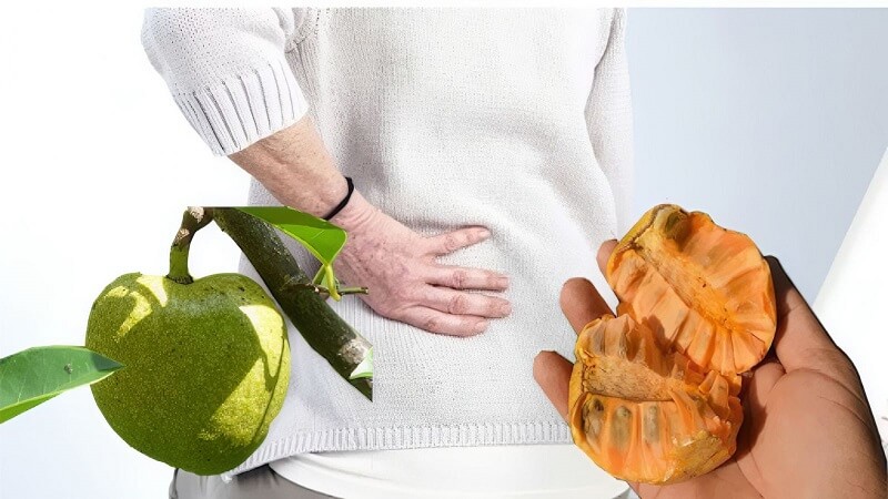 Bình bát tốt cho xương