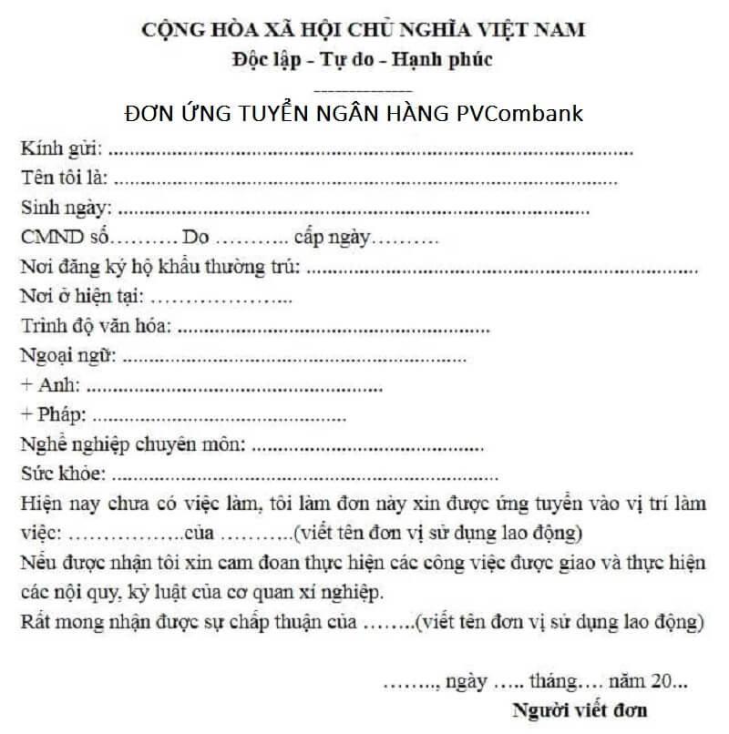 Bố cục cơ bản của mẫu đơn ứng tuyển PVCombank