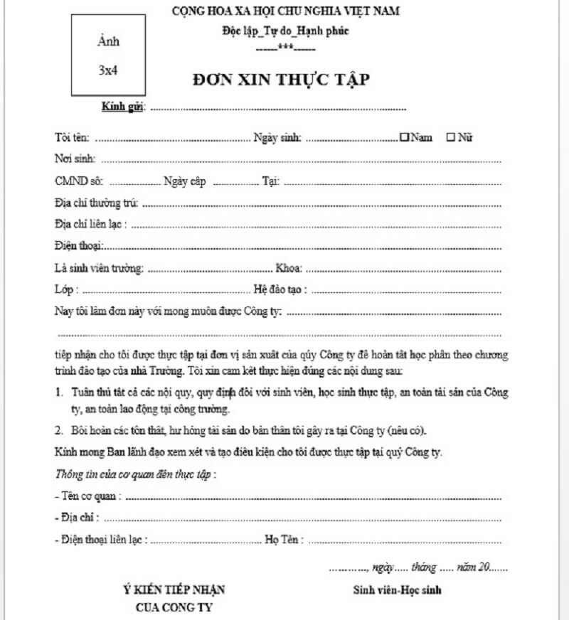 Bố cục đơn xin thực tập ngành luật bao gồm những gì