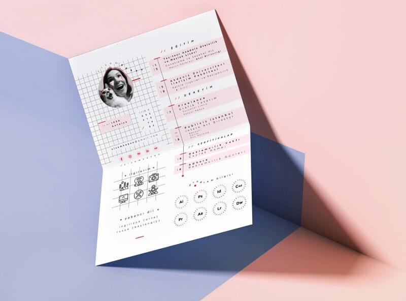 Bố cục sắp xếp của mẫu CV photoshop