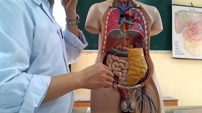 Bộ môn giải phẫu bệnh