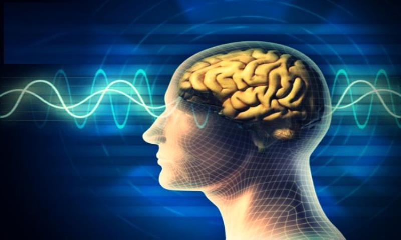 Giải quyết vấn đề bằng cách bỏ quan cái tôi cá nhân chính là khách quan