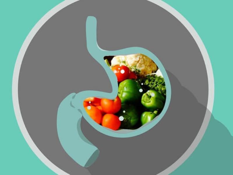 Bổ sung các chất dinh dưỡng có lợi cho hệ tiêu hóa