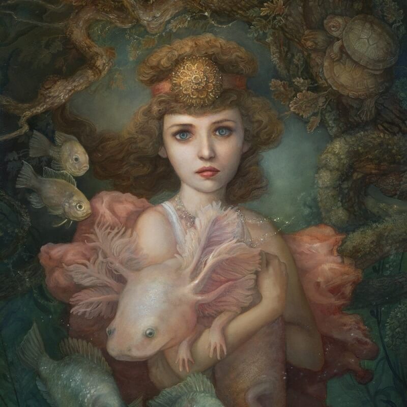 Bóng hồng của Zeus