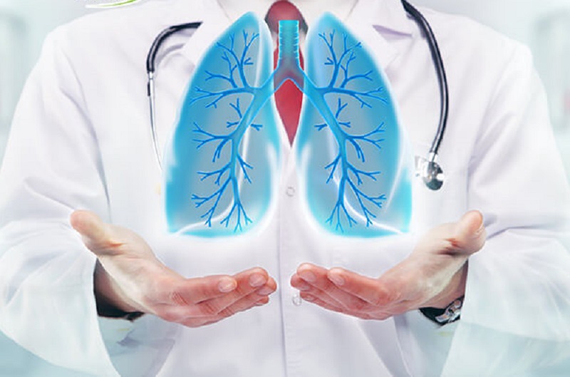 Borage oil giúp giảm khả năng ung thư