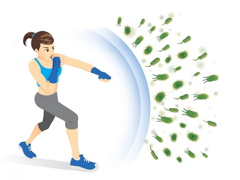 Bột Corn starch - thúc đẩy hệ miễn dịch được tăng cường