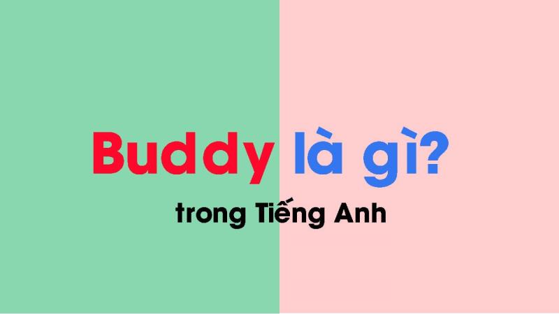 Đi tìm câu trả lời cho Buddy là gì