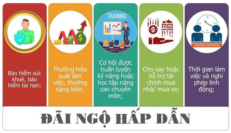 Các chế độ đãi ngộ doanh nghiệp nên áp dụng để hút nhân tài