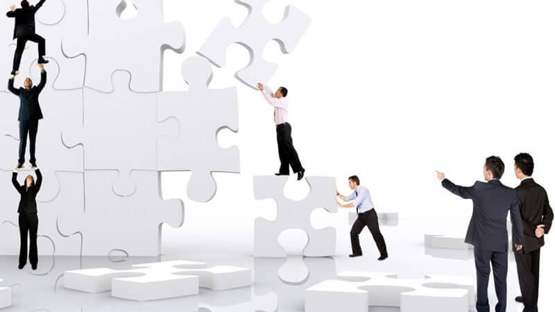 Định hướng và phát triển một tổ chức