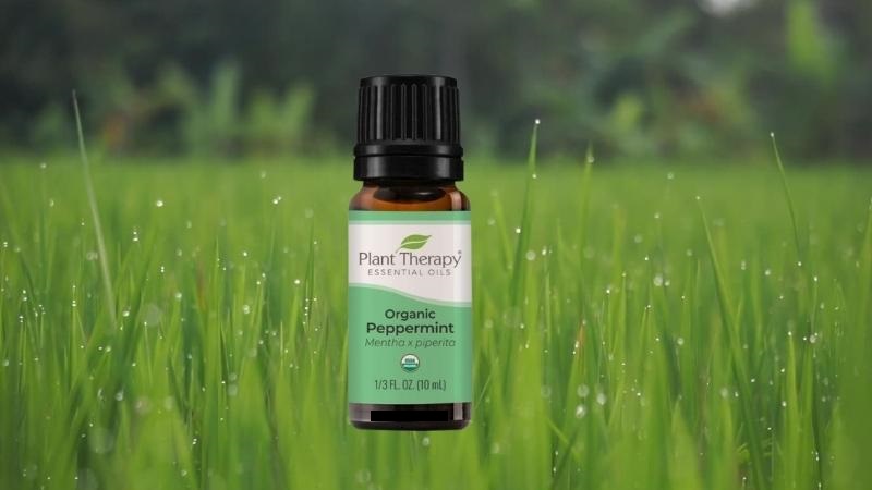  Sản phẩm tinh dầu bạc hà Plant Therapy