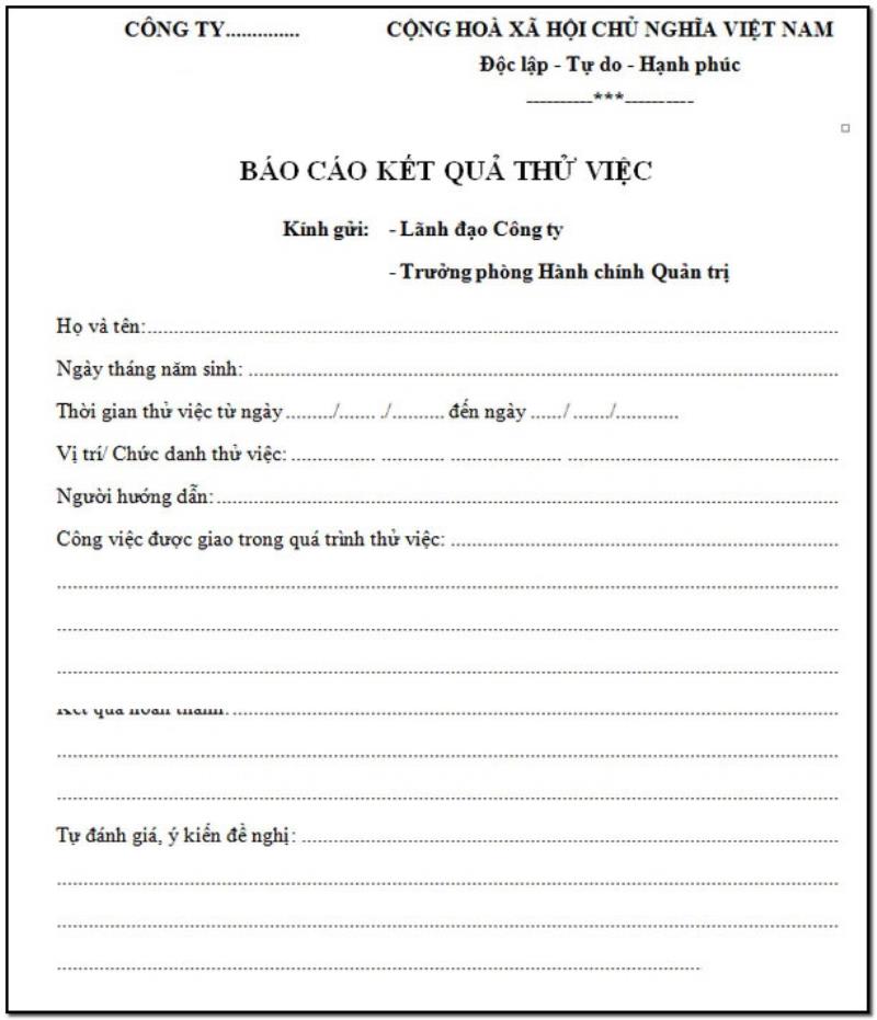 Các mẫu báo cáo thử việc thông dụng nhất hiện nay