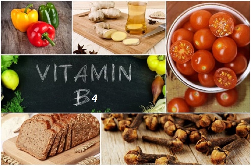 Các thực phẩm chứa vitamin B4
