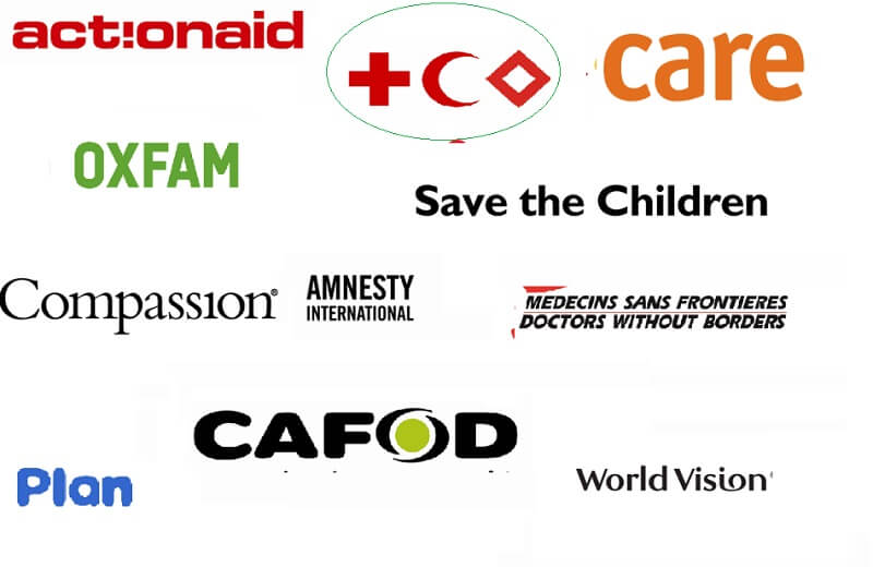 Những tổ chức Phi chính phủ ở Việt Nam