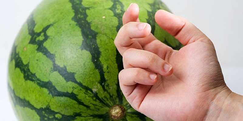 Bật mí bí quyết chọn dưa hấu ngon