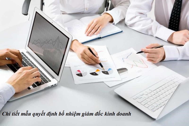 Mẫu quyết định bổ nhiệm giám đốc kinh doanh