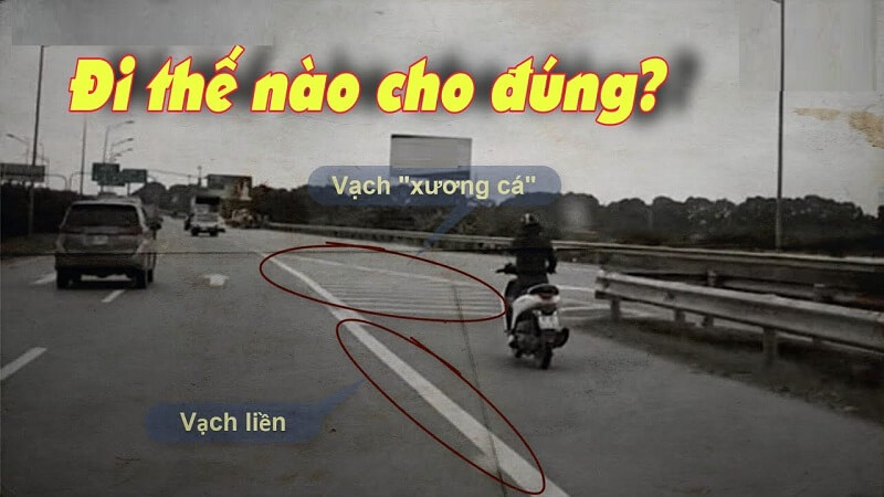 Cách đi đúng khi gặp vạch xương cá