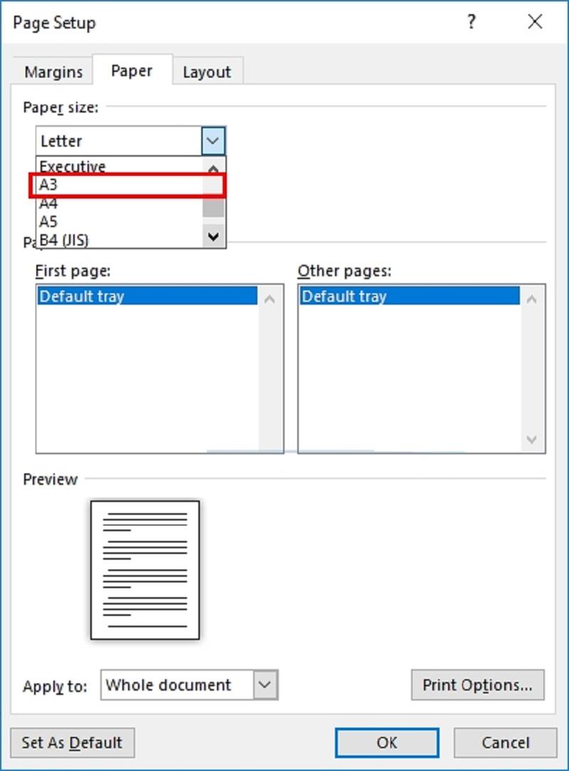 Cách in sơ yếu lý lịch A3 thứ hai