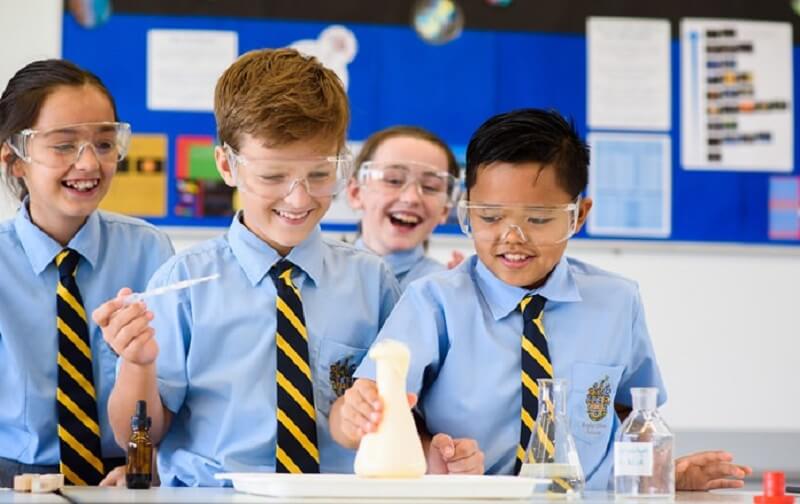 Kê khai thông tin phụ huynh học sinh