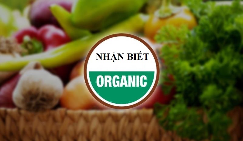 Cách nhận biết thực phẩm Organic chuẩn nhất