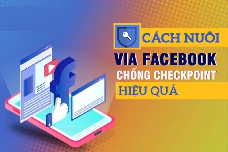 Nuôi VIA trên Ninja System qua máy tính có nhiều tính năng hữu ích