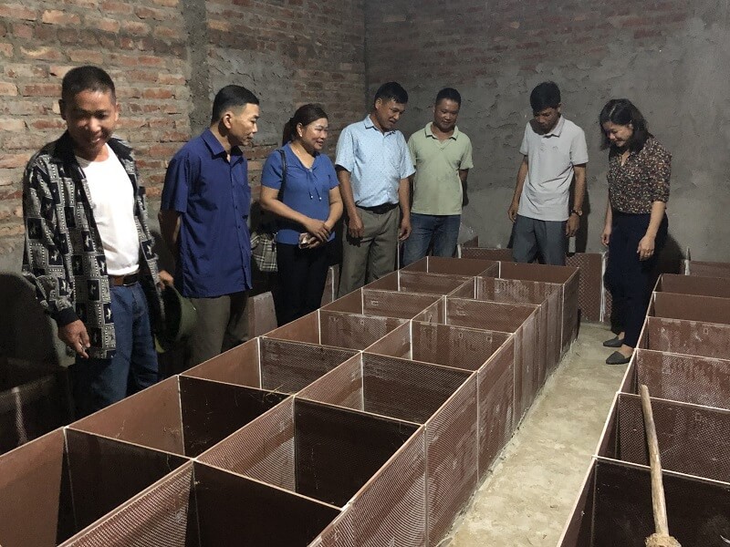 Cách nuôi dúi sinh sản