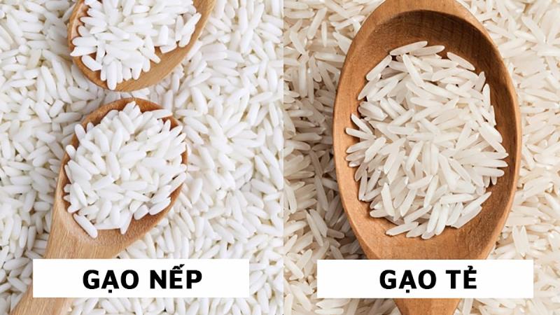 Phân biệt gạo nếp và gạo tẻ