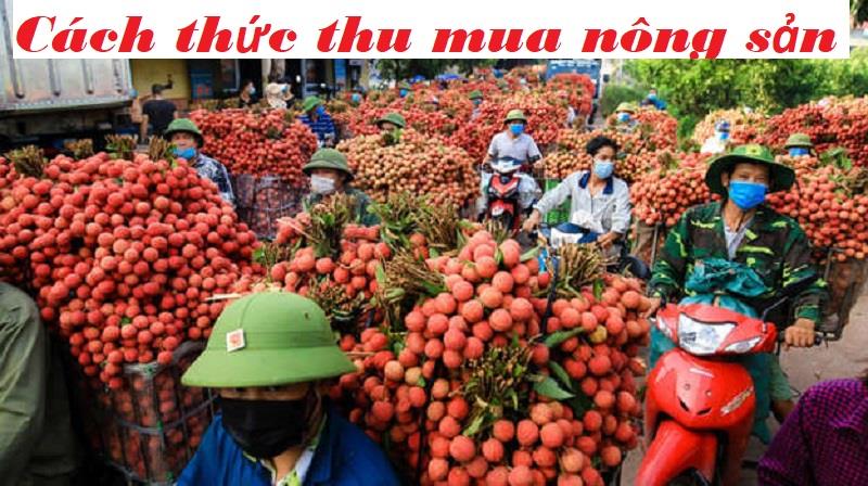 Cách thức thu mua nông sản