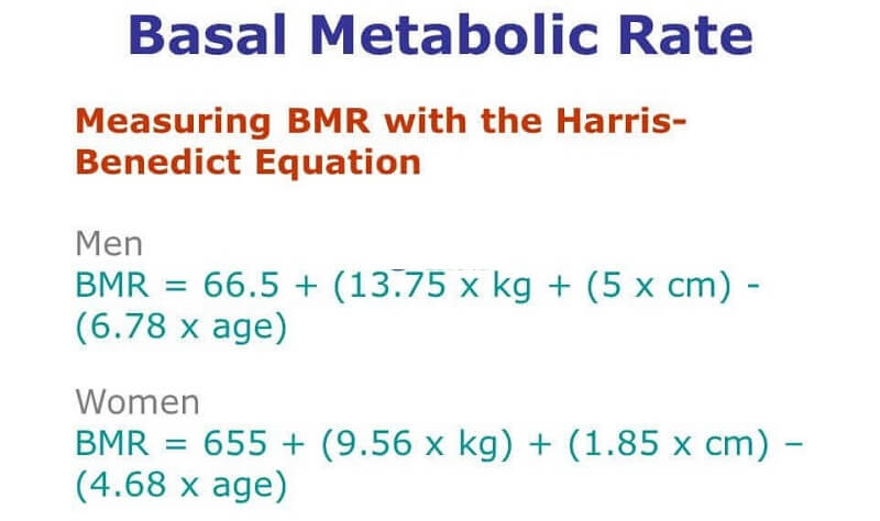 Không có công thức tính BMR chính xác tuyệt đối