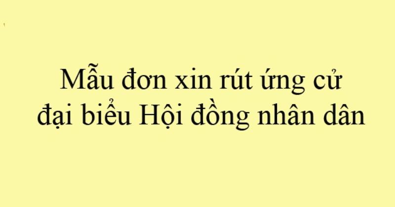 Cách trình bày nội dung chính