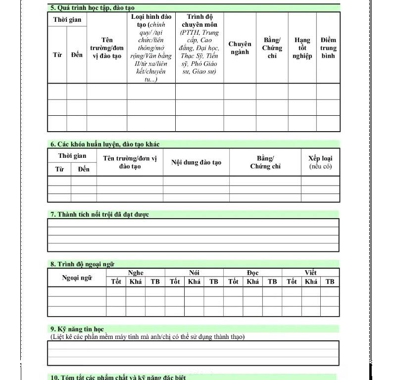 Bố cục trong CV xin việc FE Credit