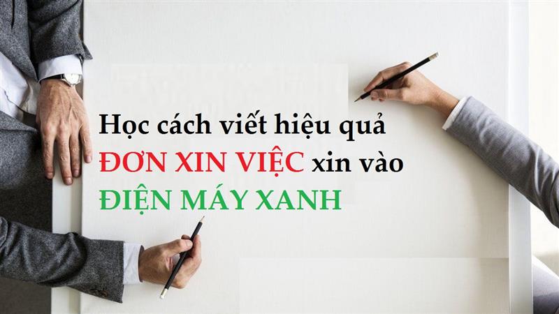 Cách viết đơn xin việc tại Điện Máy Xanh