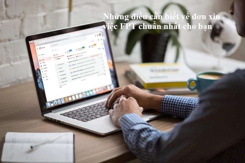 Bố cục đơn xin việc FPT 