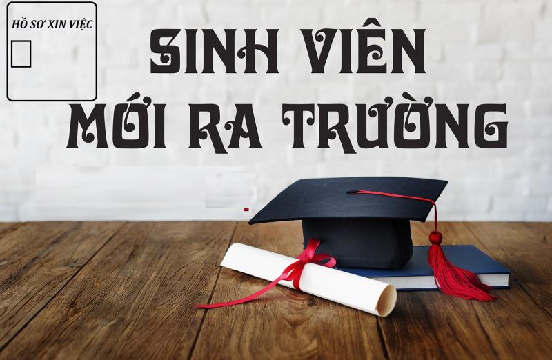 Học cách viết hồ sơ xin việc hiệu quả dành cho sinh viên mới ra trường