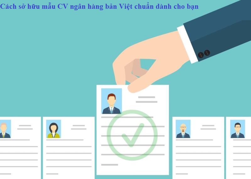 Mẫu CV ngân hàng Bản Việt