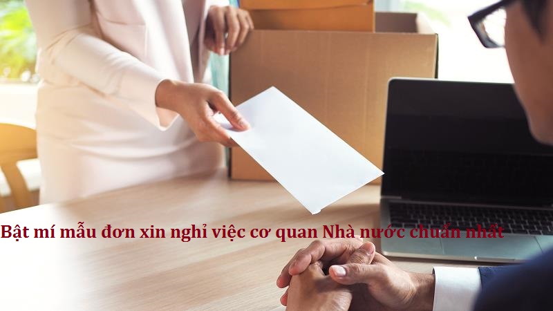 Tìm hiểu chung đơn xin nghỉ việc cơ quan Nhà nước