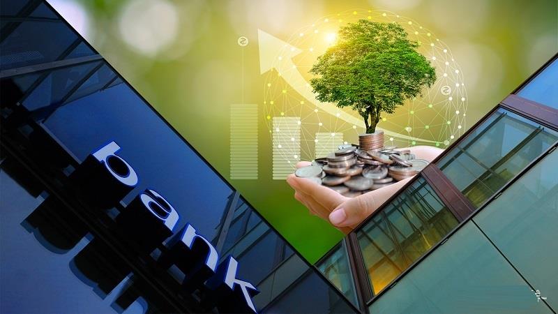 Hướng dẫn viết mở đầu đơn xin việc BIDV