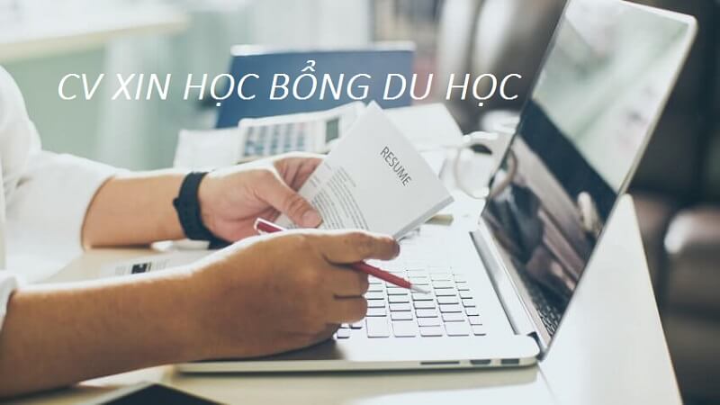 Trình bày Personal Information trong CV xin học bổng