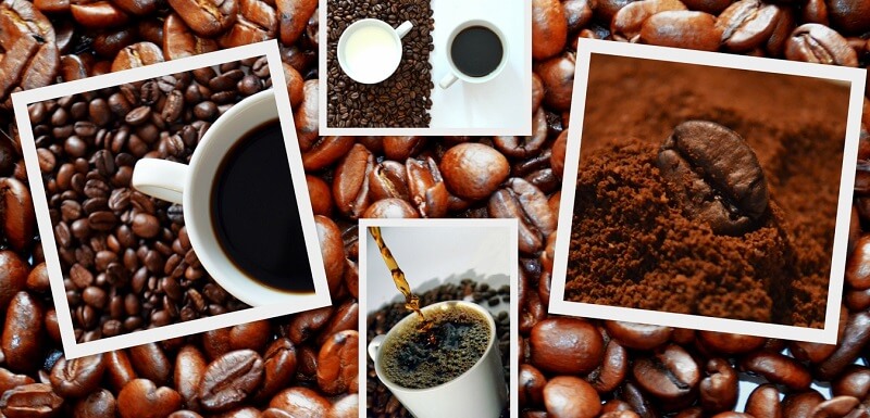 Tiêu chuẩn cafe hữu cơ