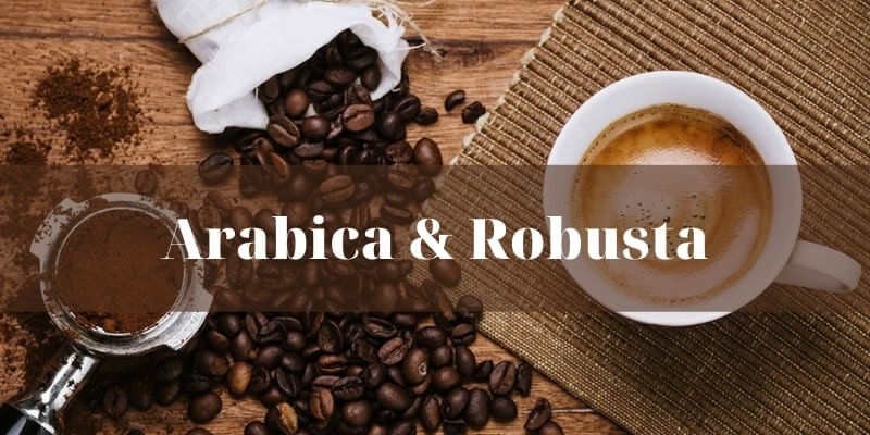 Cách nhận biết cà phê Robusta